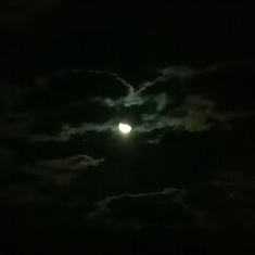 Moon Over Elkhorn Ranch