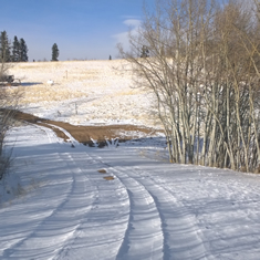 Elkhorn Ranch Snowy Driveway